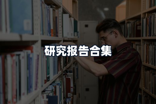 研究报告合集